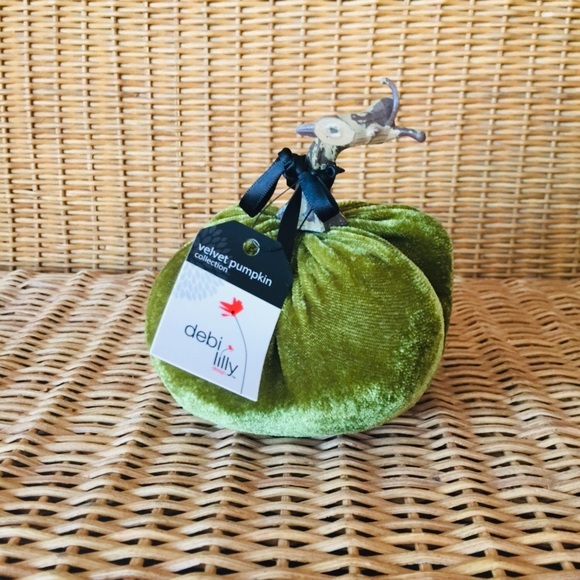 debi lilly Accents Debi Lilly Velvet Pumpkin Poshmark